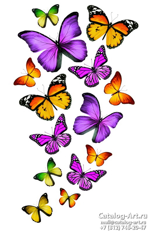  Butterflies 134